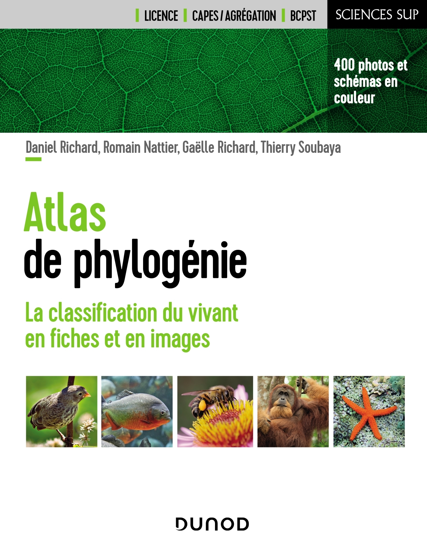 Atlas de phylogénie