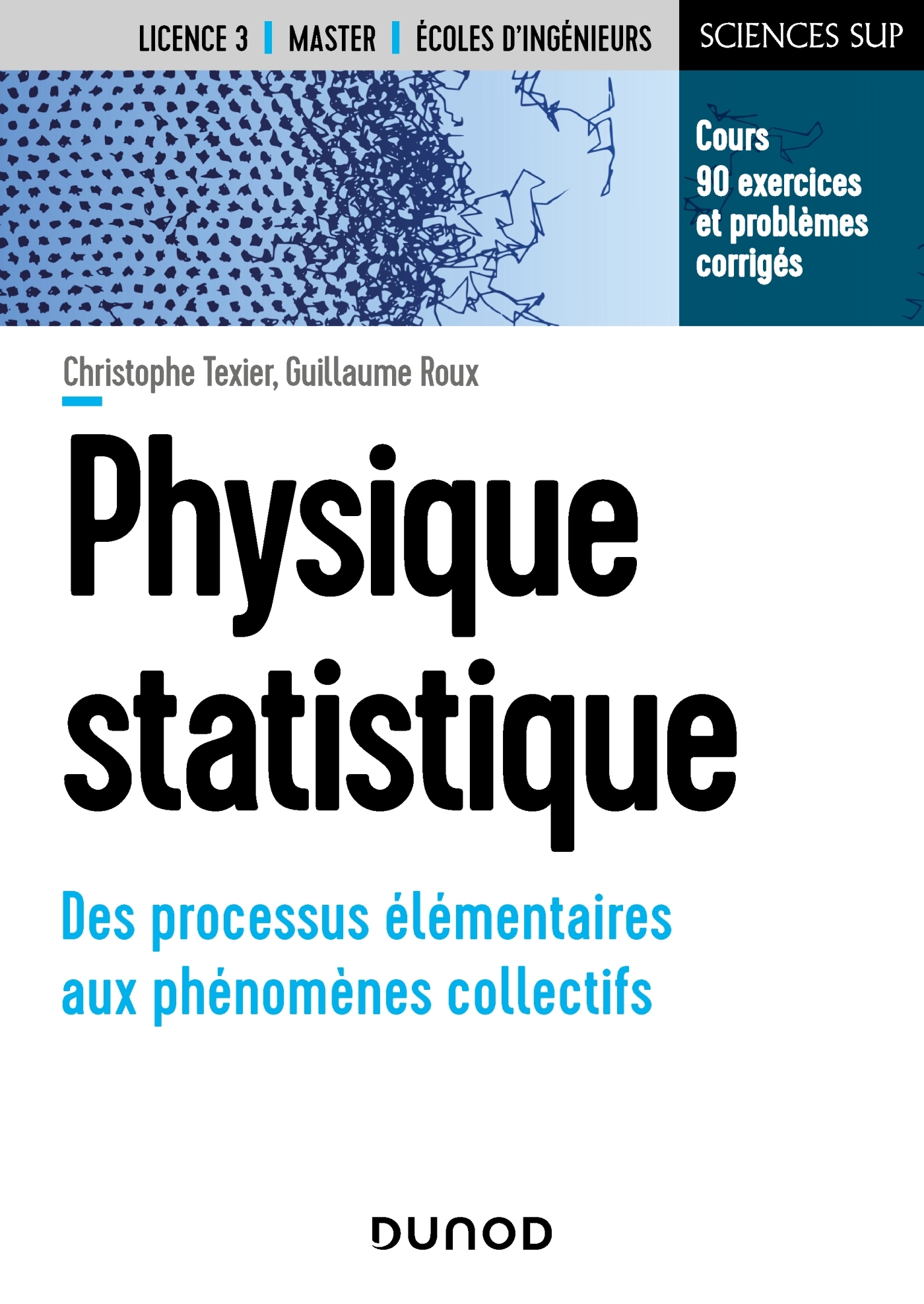 Physique statistique - Des processus élémentaires aux phénomènes collectifs