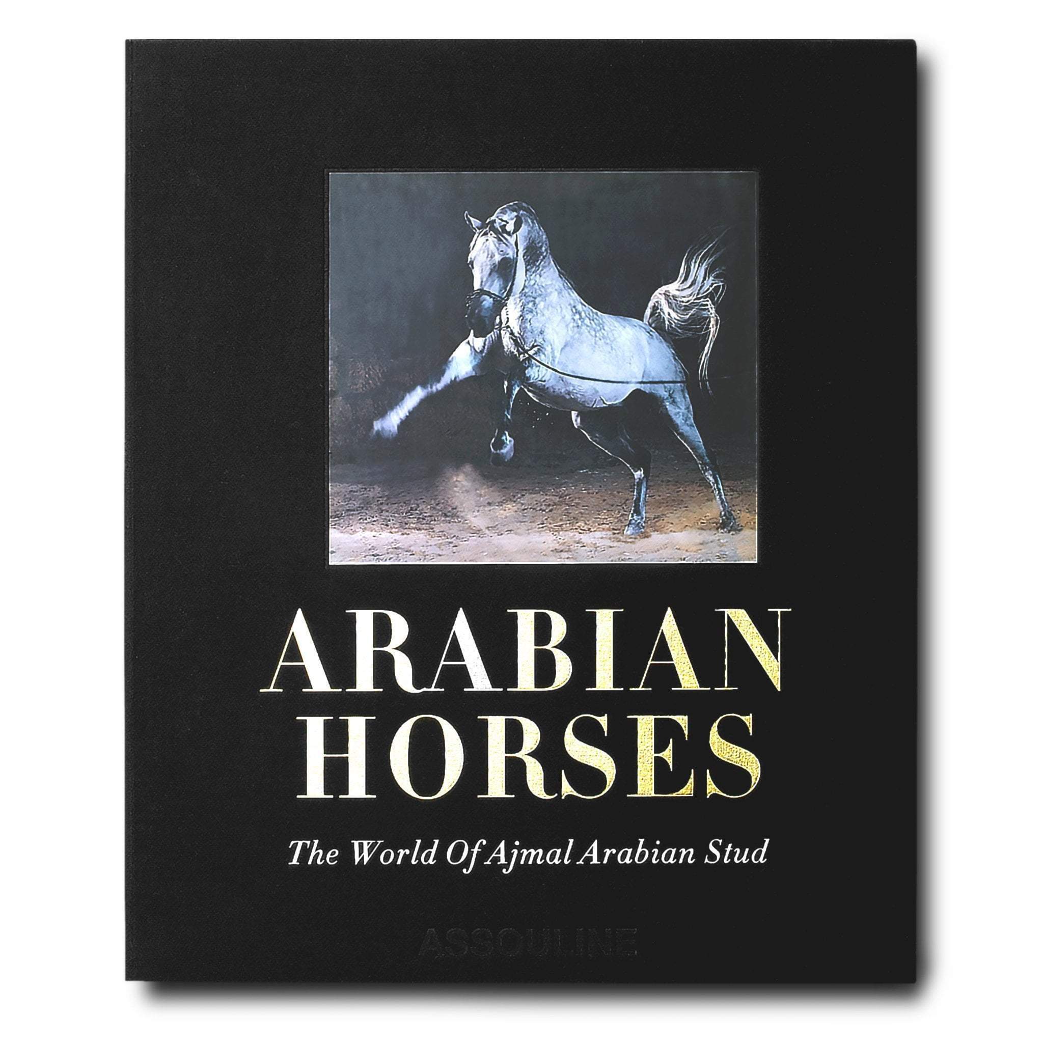 Arabian Horses