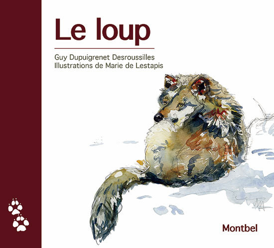 Le loup. Est-il gentil, est-il méchant? est-il utile, est-il nuisible?
