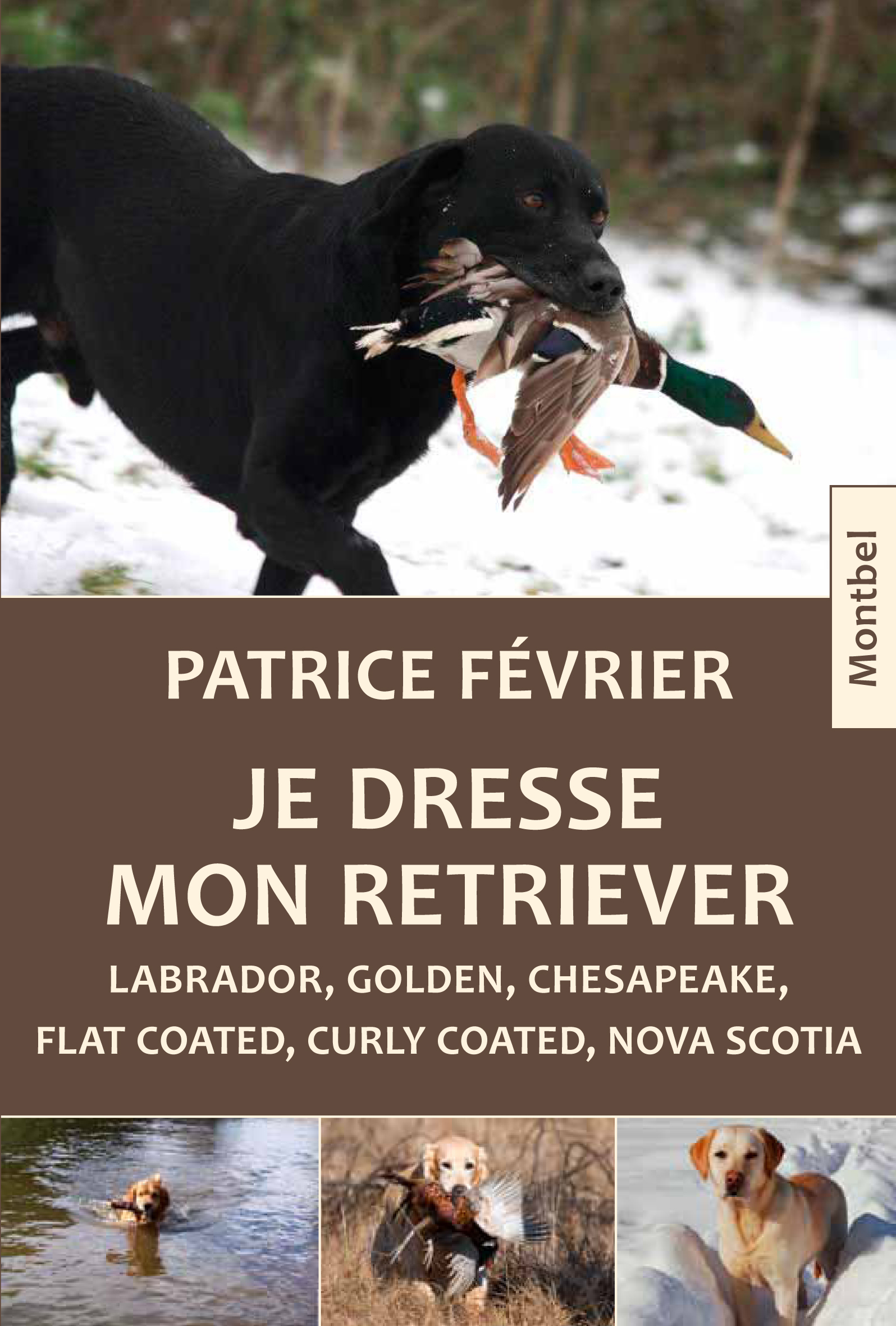 Je dresse mon retriever