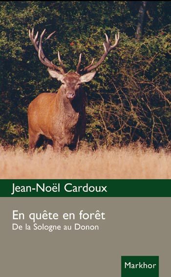 En quête en forêt