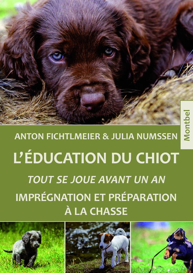 L'éducation du chiot