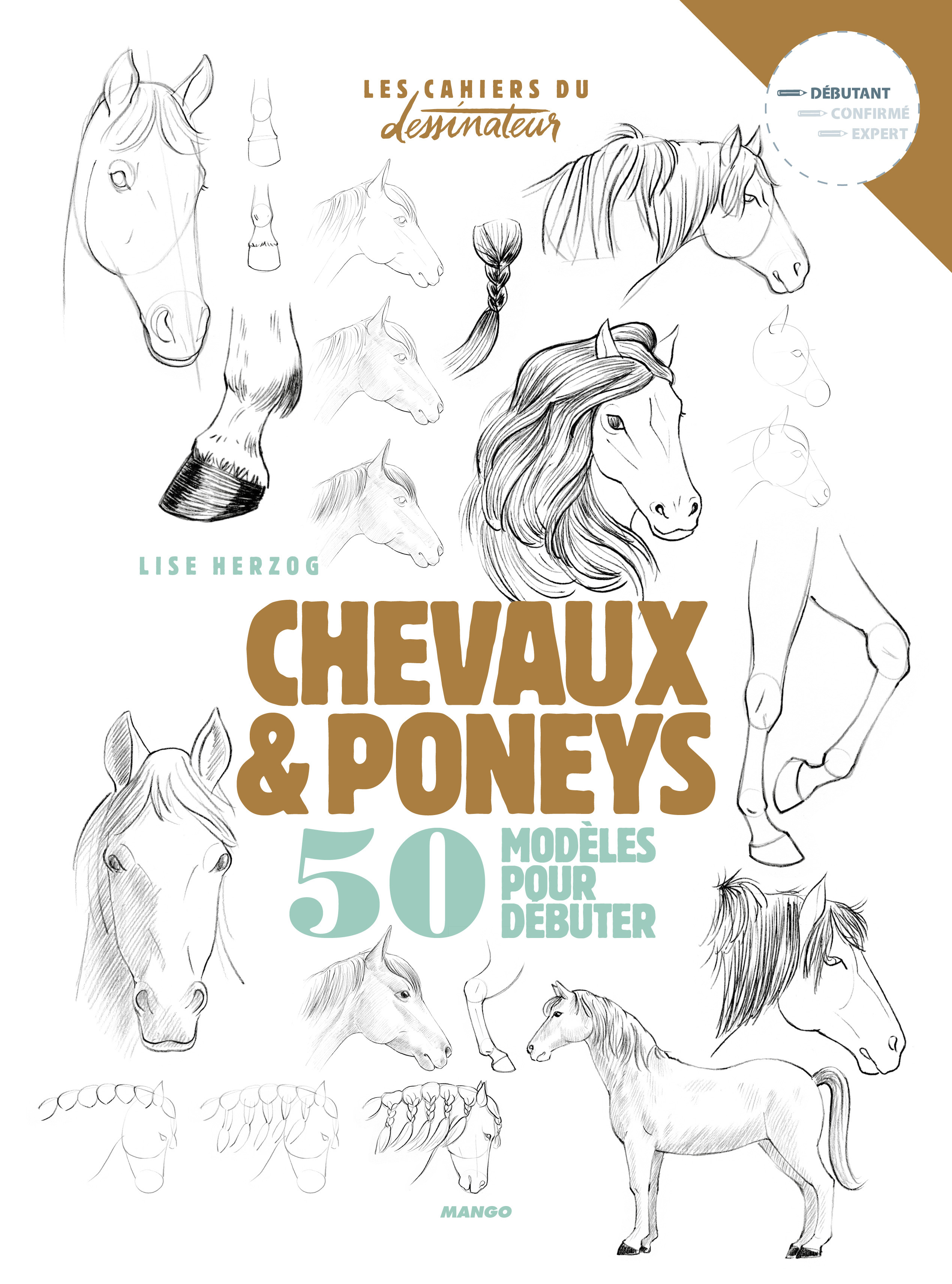Dessiner chevaux et poneys