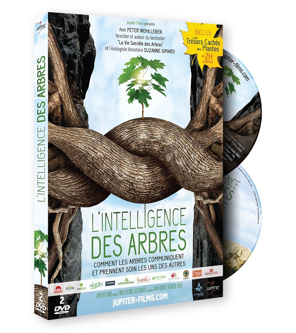 L'INTELLIGENCE DES ARBRES