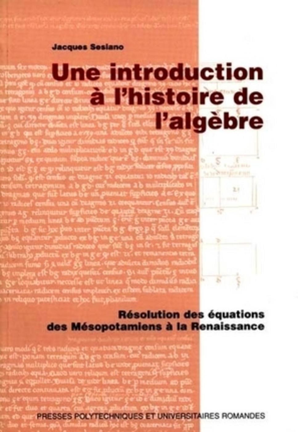 Une introduction à l'histoire de l'algèbre