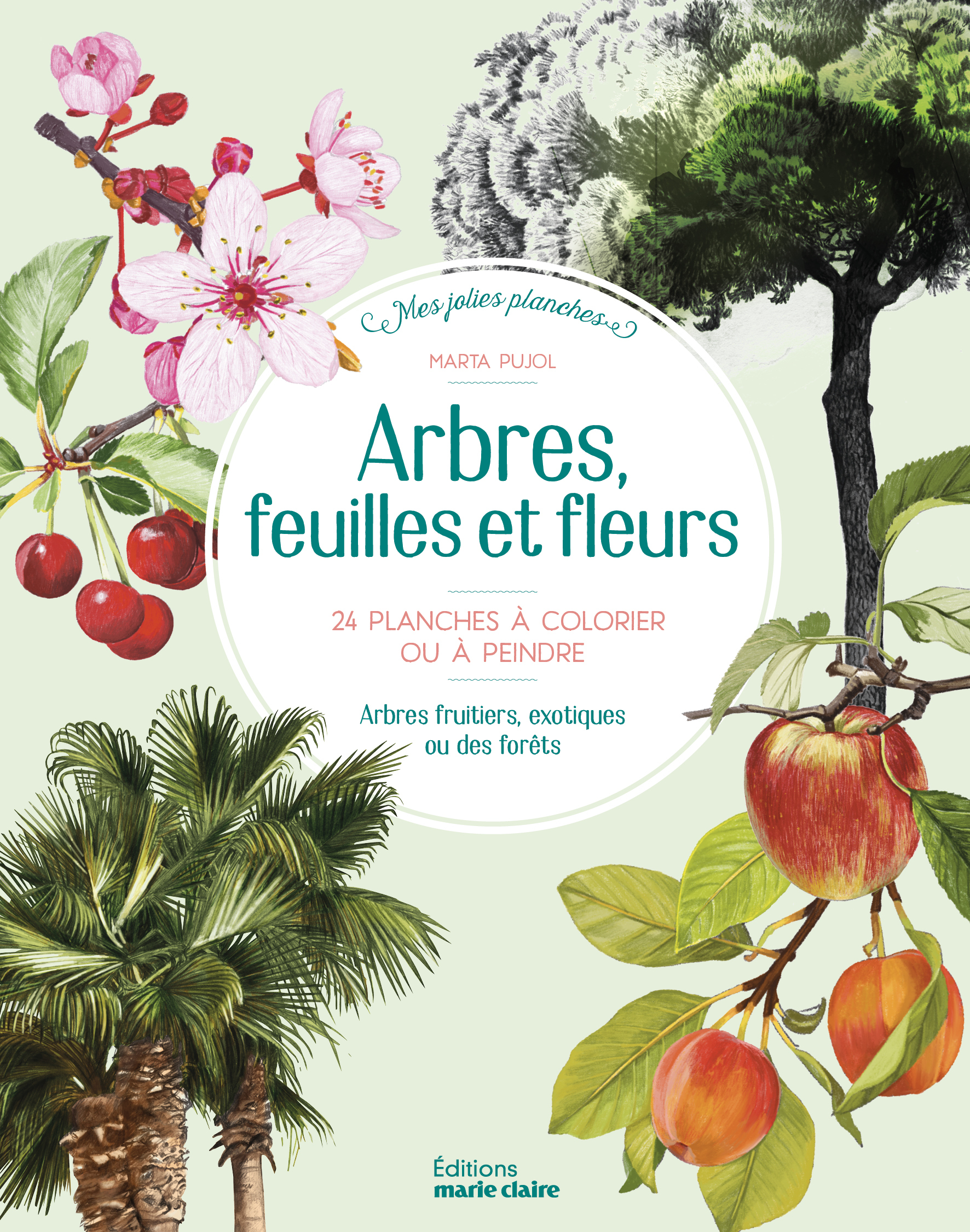 Arbres, feuilles et fleurs