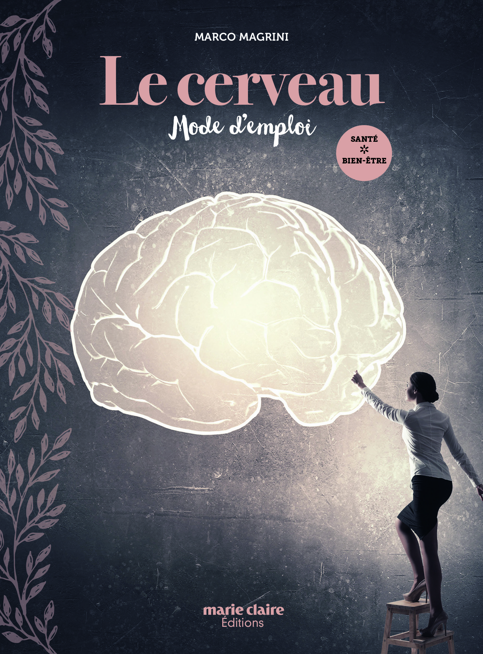 Le cerveau : Mode d'emploi