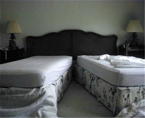 Laura Carton Stripped /anglais