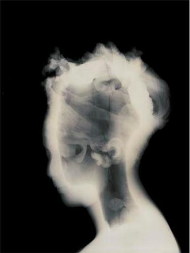 David Maisel History's Shadow /anglais