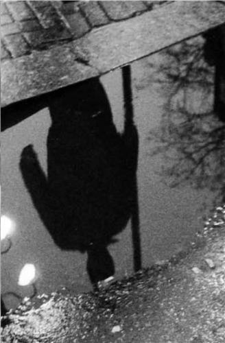 Andy Summers Desirer Walks the Streets /anglais