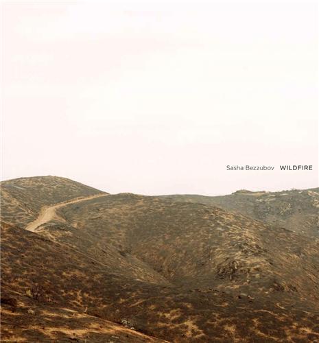 Sasha Bezzubov Wildfire /anglais