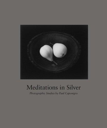 Paul Caponigro Meditations in Silver /anglais