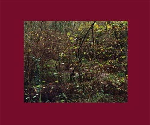 Jen Southam Painter Pool /anglais