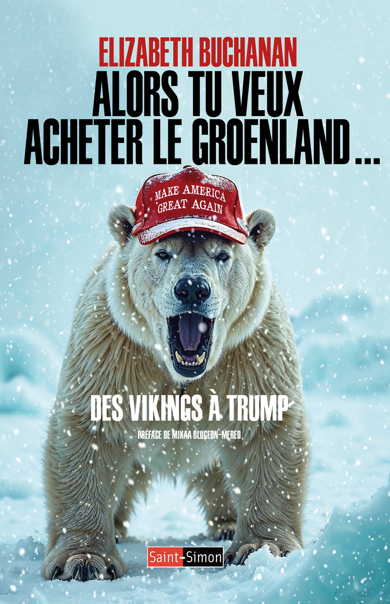 Alors tu veux acheter le Groenland ! - Des Vikings à Trump