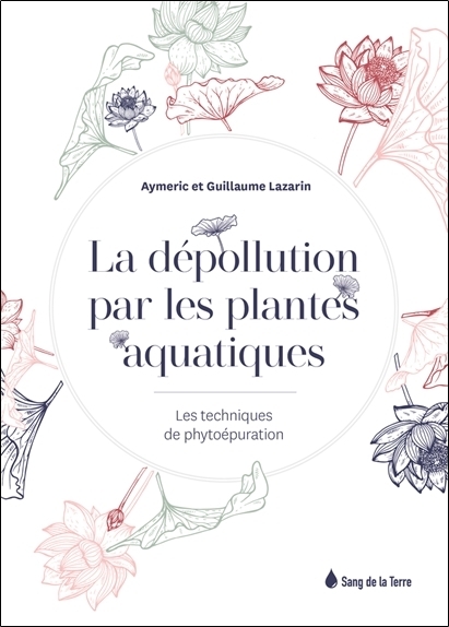 La dépollution par les plantes aquatiques - Les techniques de phytoépuration