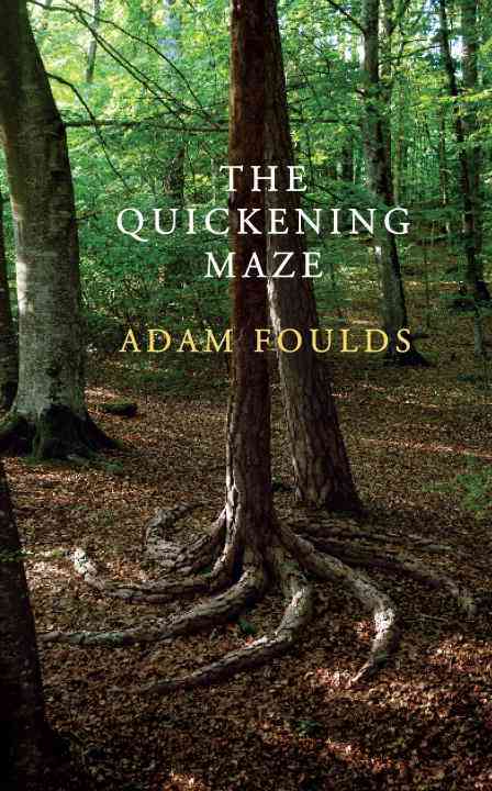 Quickening Maze