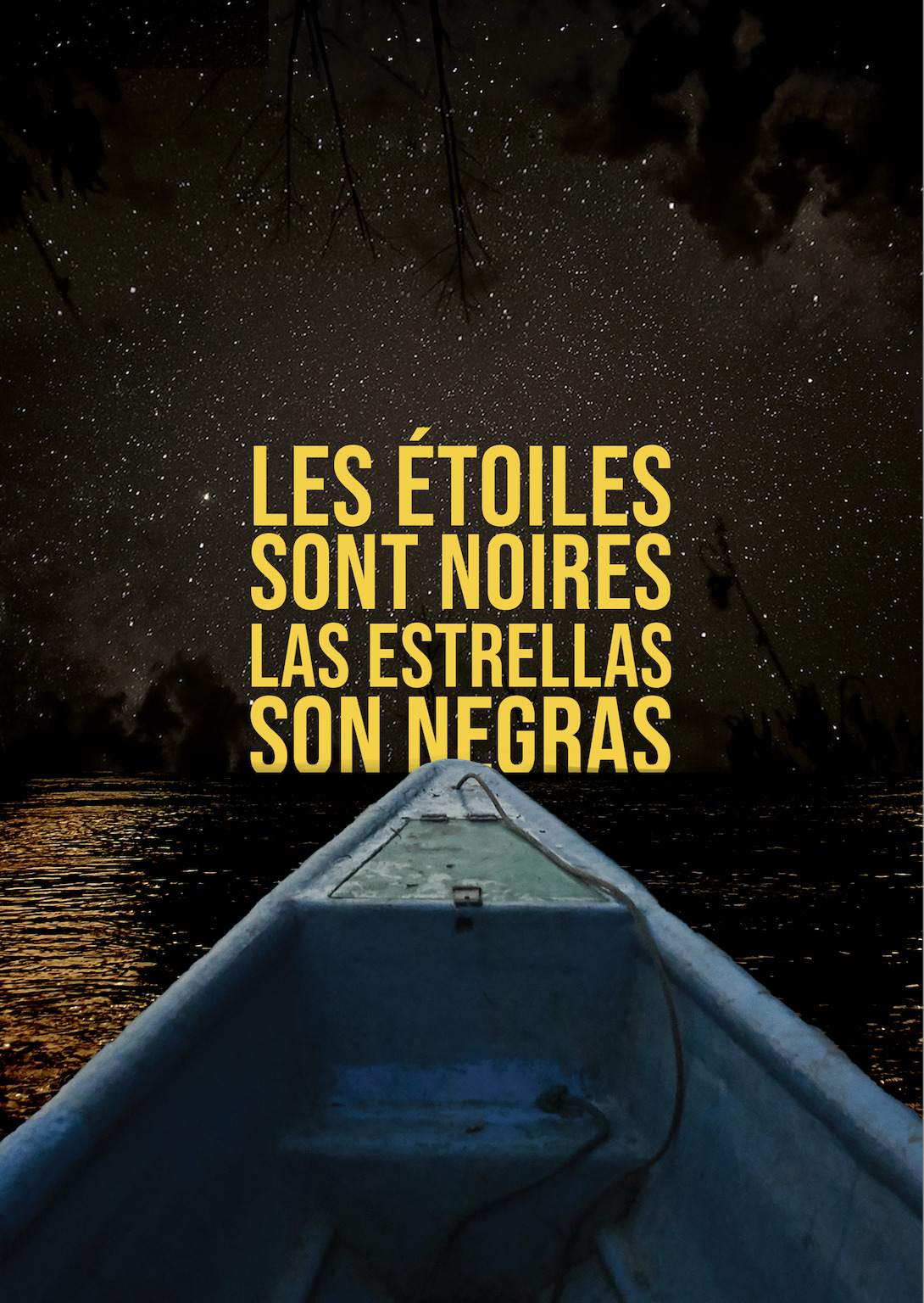 Les Étoiles sont Noires