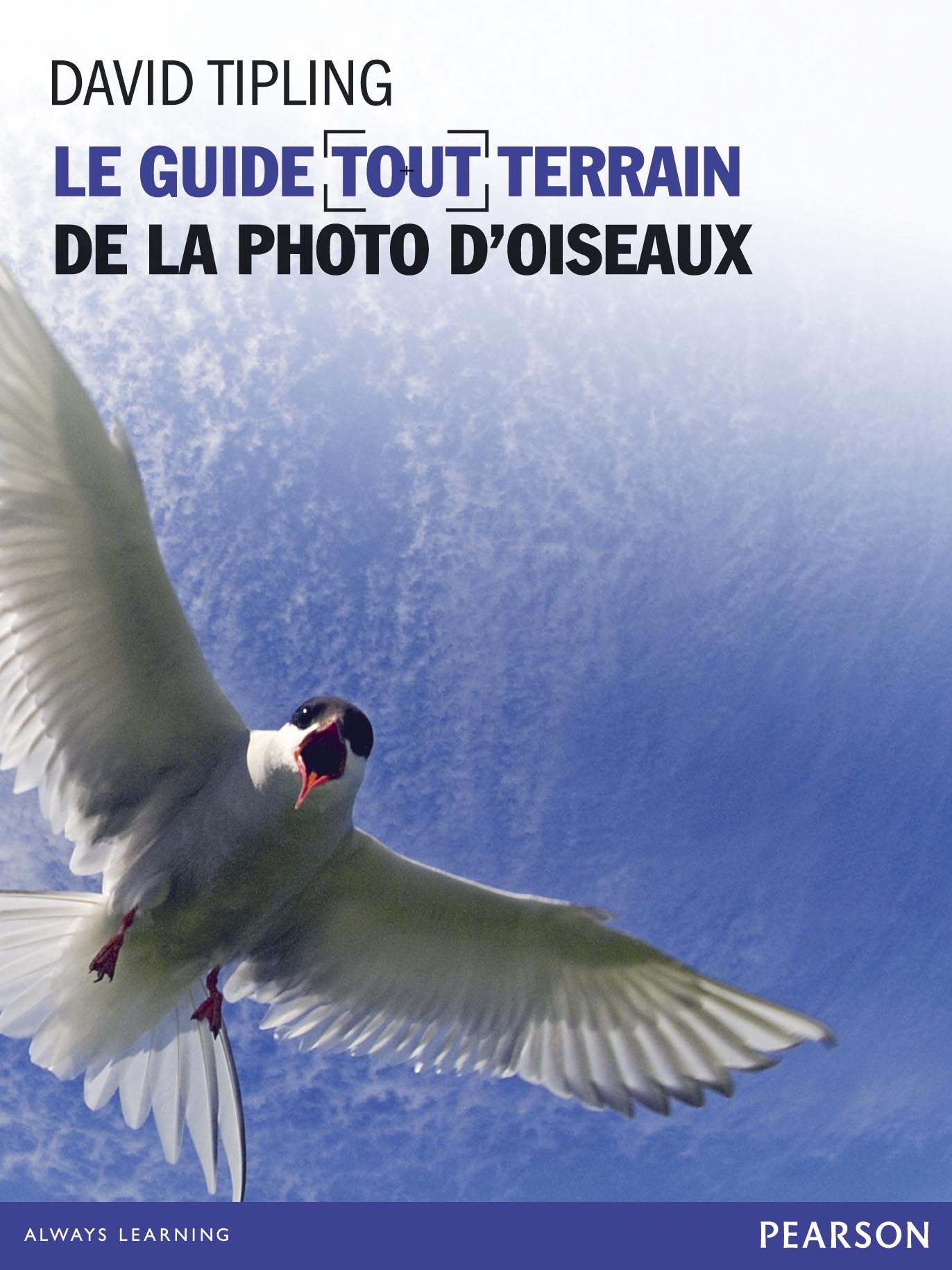 LA PHOTO D'OISEAUX