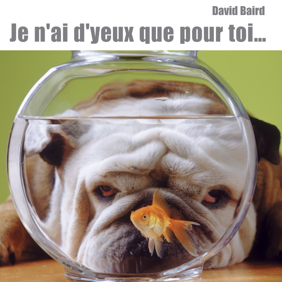 JE N'AI D'YEUX QUE POUR TOI