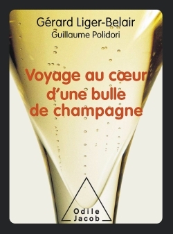Voyage au coeur d'une bulle de champagne