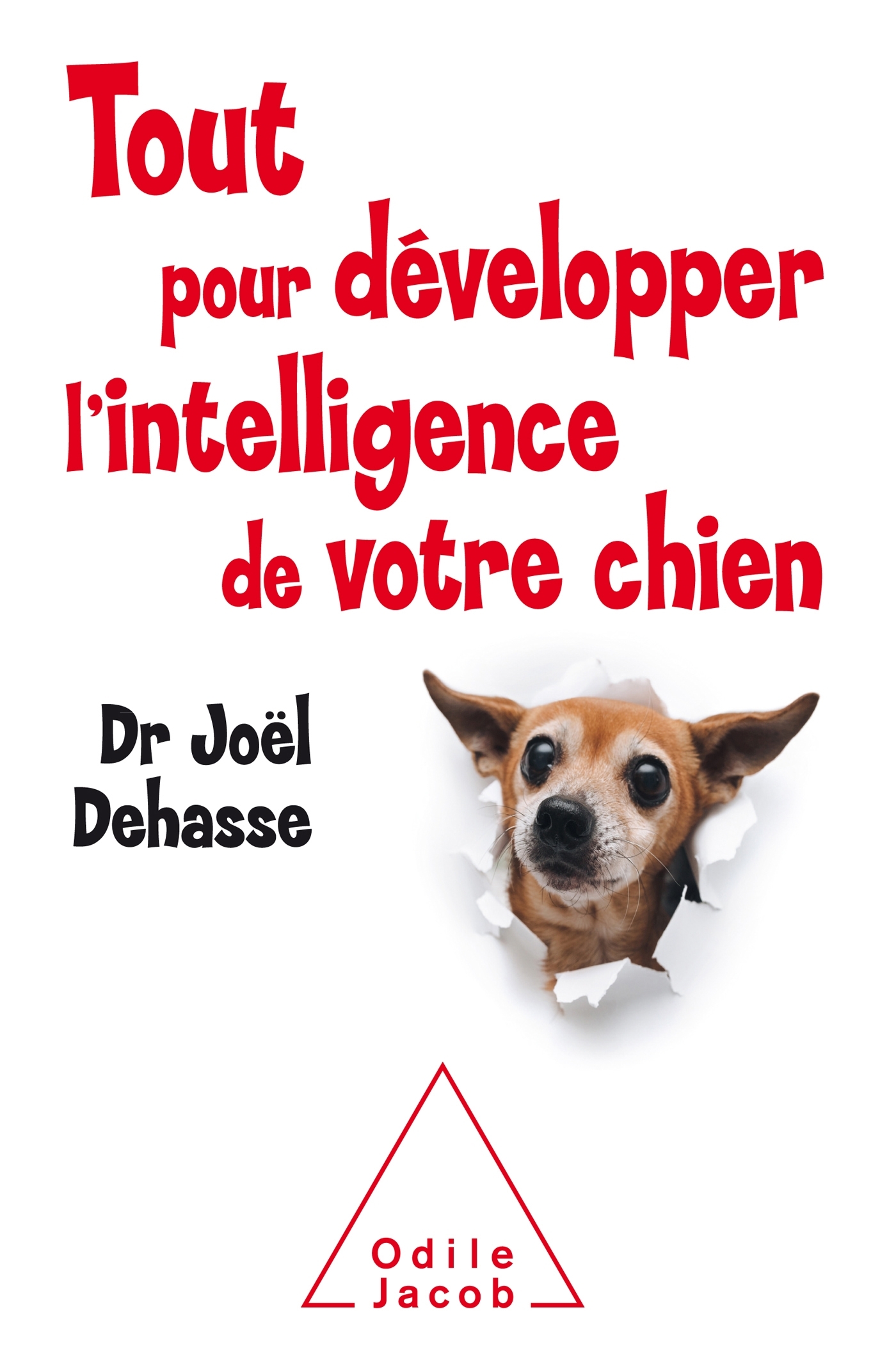 Tout pour développer l'intelligence de votre chien