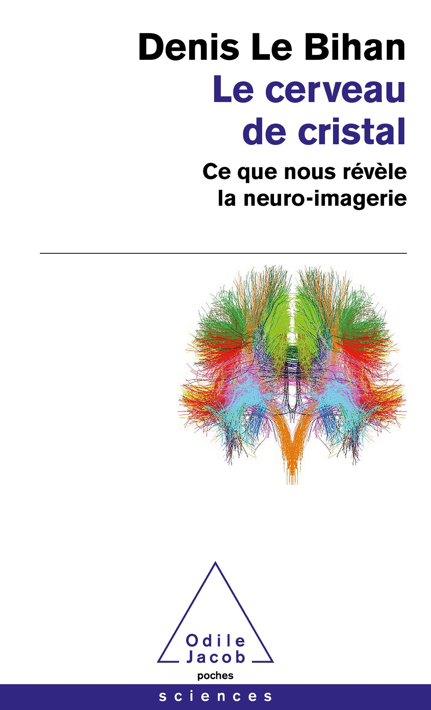 Le Cerveau de cristal