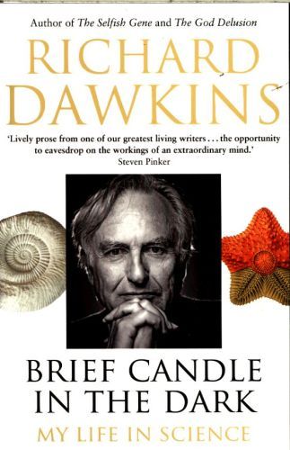 Brief Candle in the Dark