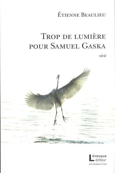 TROP DE LUMIERE POUR SAMUEL GASKA