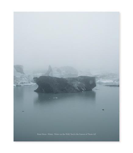 Roni Horn Water Water On the Wall, You re the Fairest of Them All /anglais