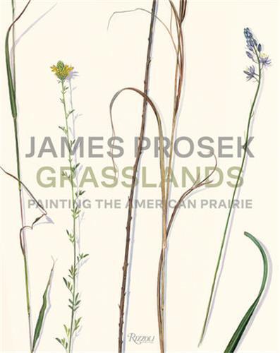 James Prosek Grasslands : Painting the American Prairie /anglais