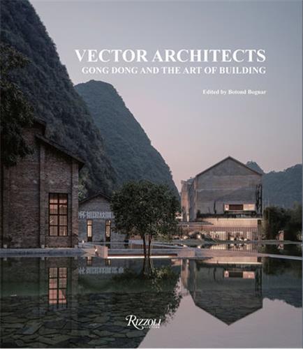 Vector Architects : Gong Dong and the Art of Building /anglais