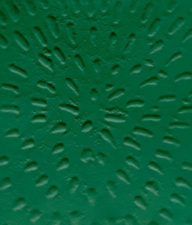 Jennifer Guidi Heliocentric /anglais