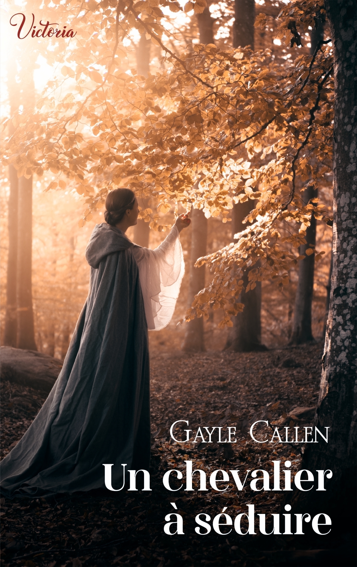 Un chevalier à séduire