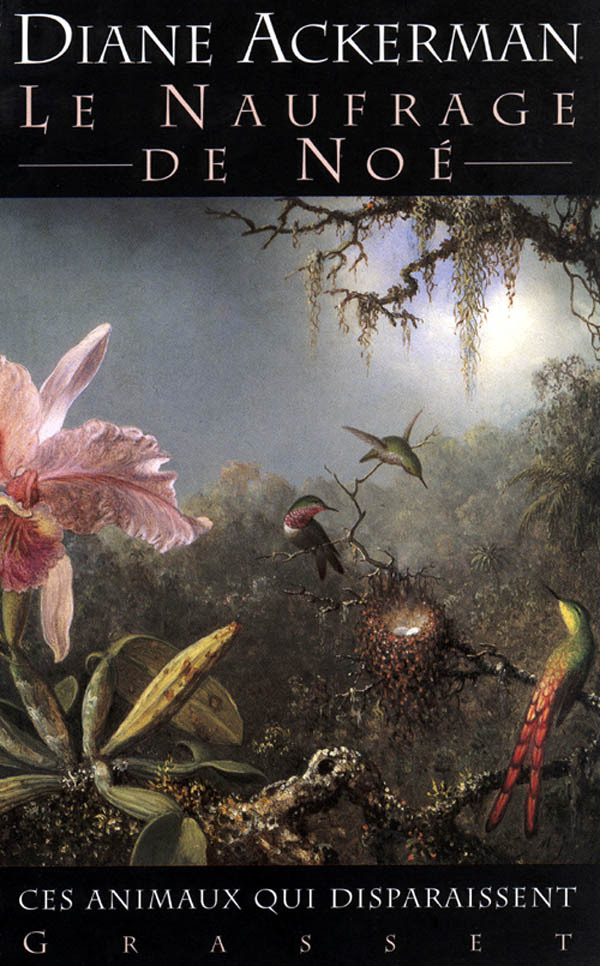Le naufrage de Noé