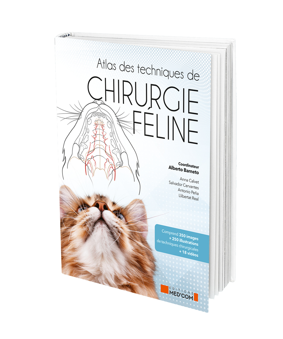 Atlas des techniques de chirurgie féline