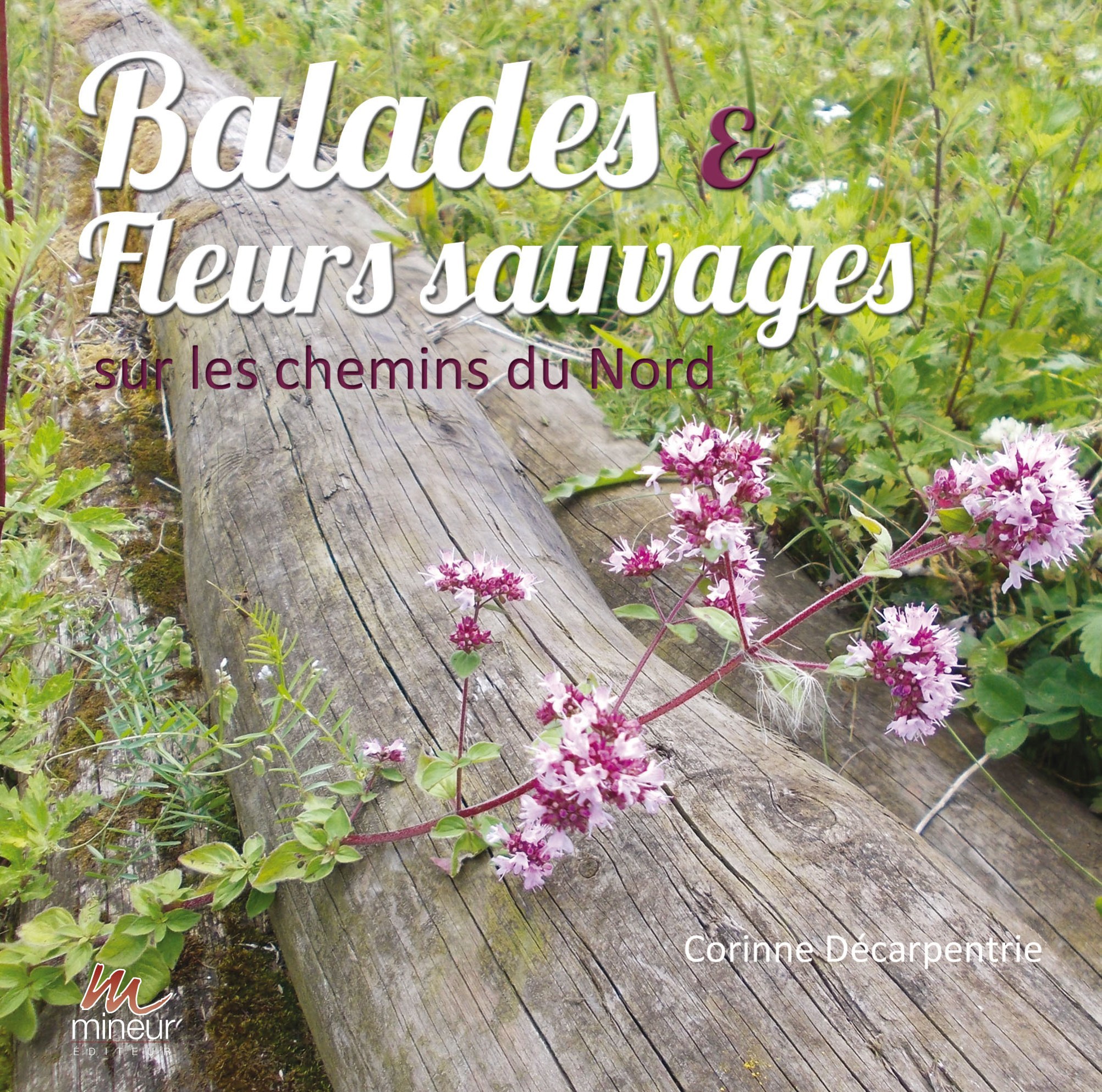 BALADES ET FLEURS SAUVAGES sur les chemins du Nord