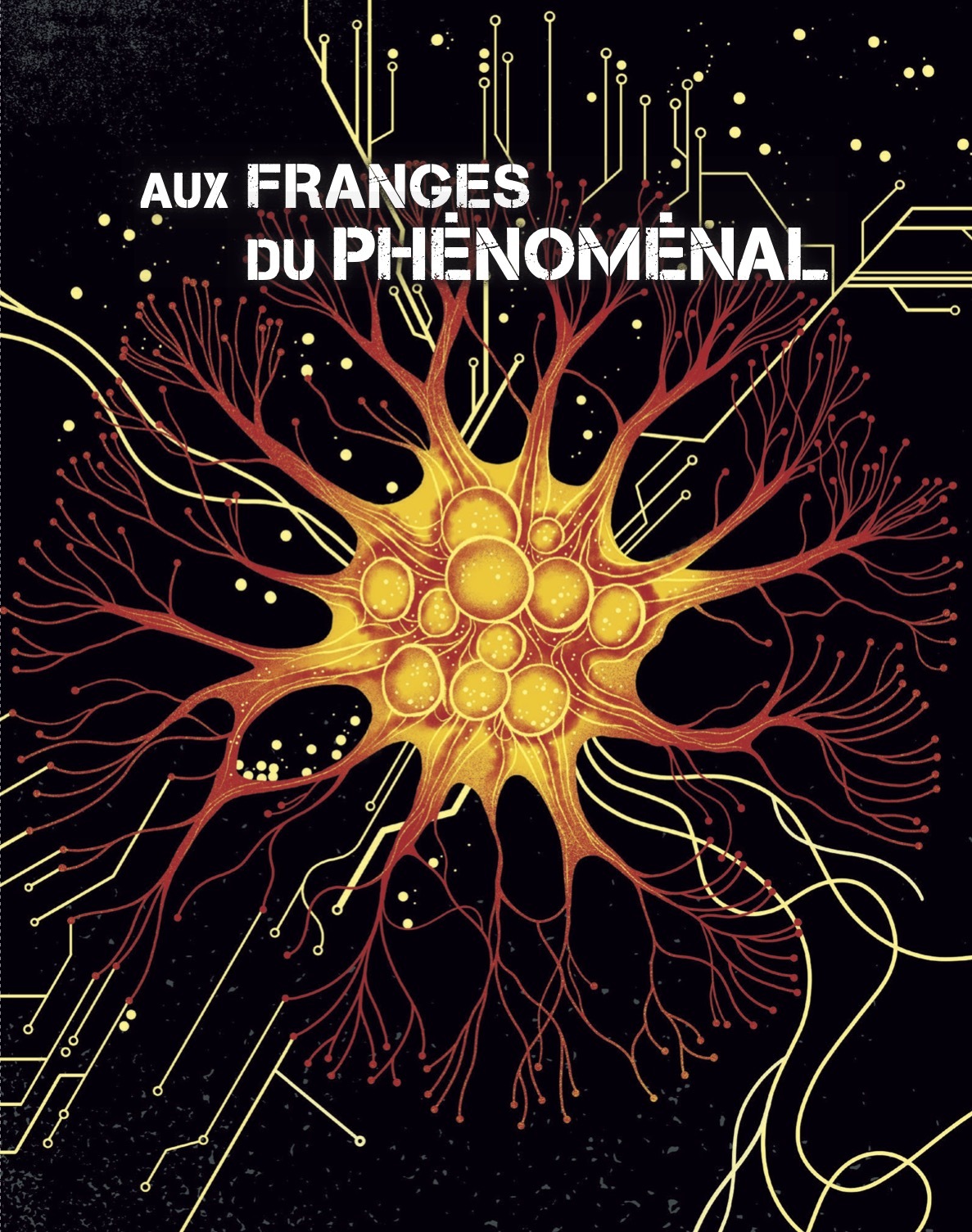 Terrain 80 Aux franges du phénoménal