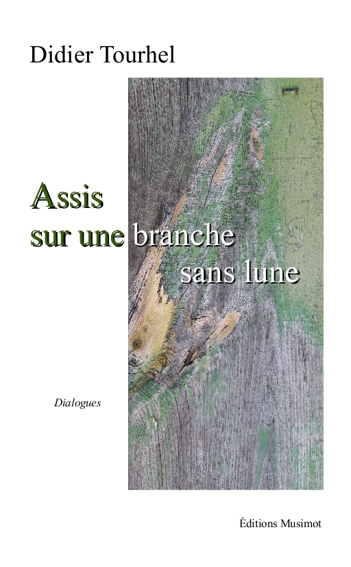 Assis sur une branche sans lune