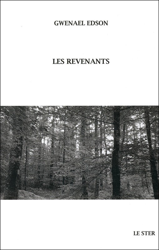Les revenants - récit