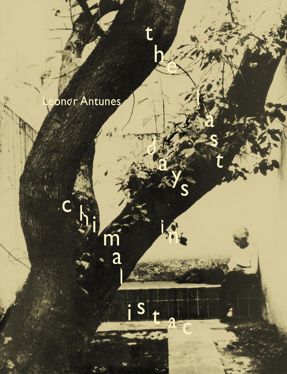 The last days in Chimalistac