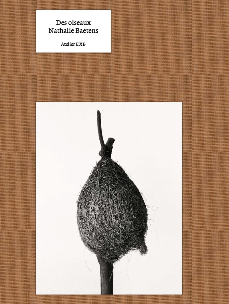 Des oiseaux - Nathalie Baetens (version anglaise)