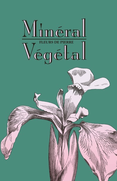 Minéral-Végétal. Fleurs de pierre