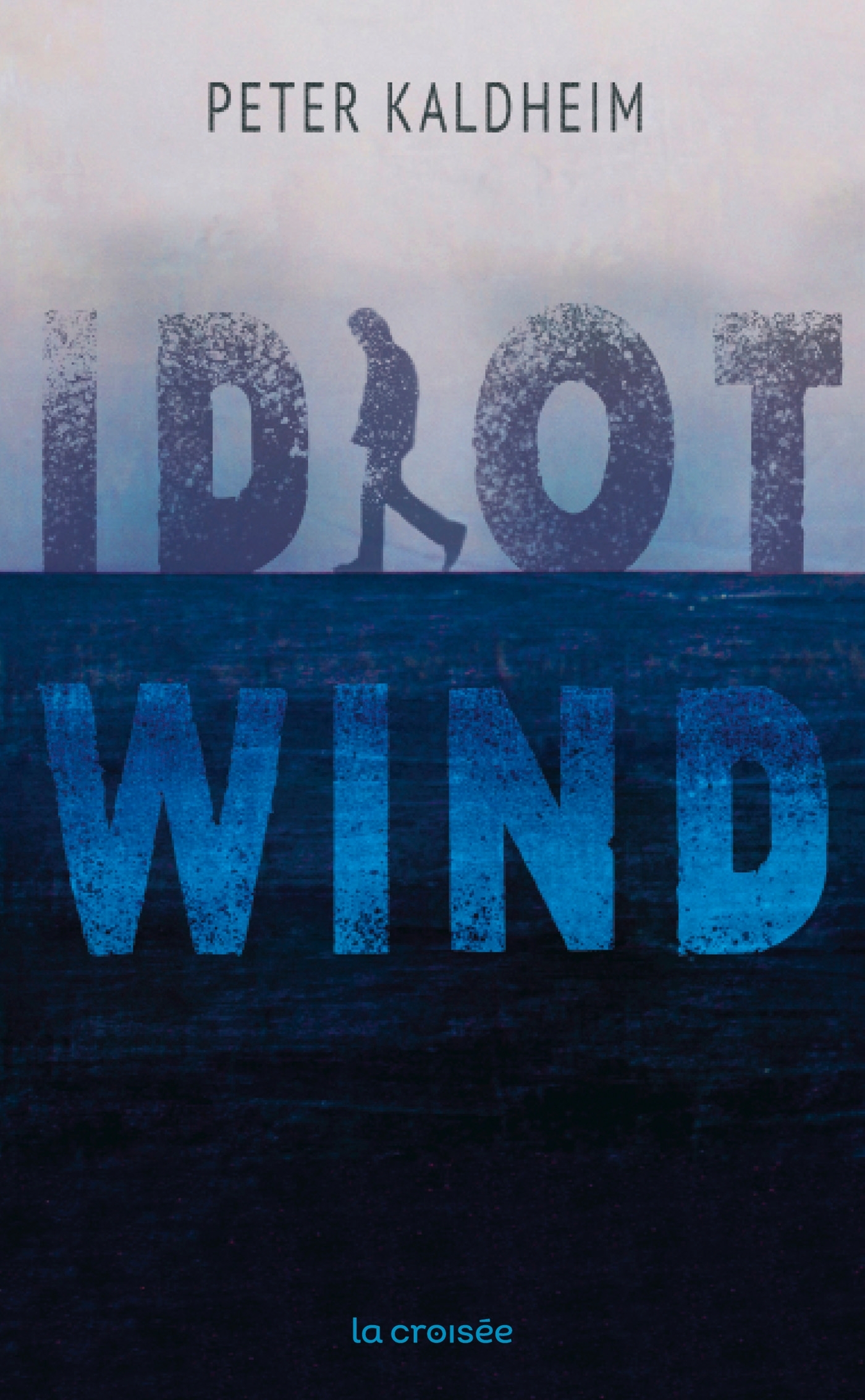 Idiot Wind