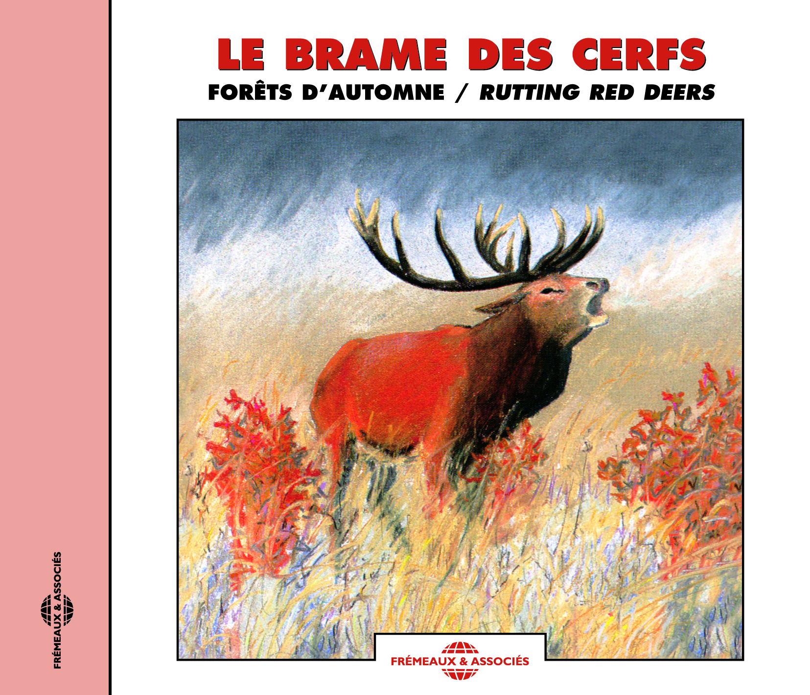 LE BRAME DES CERFS FORETS D'AUTOMNE