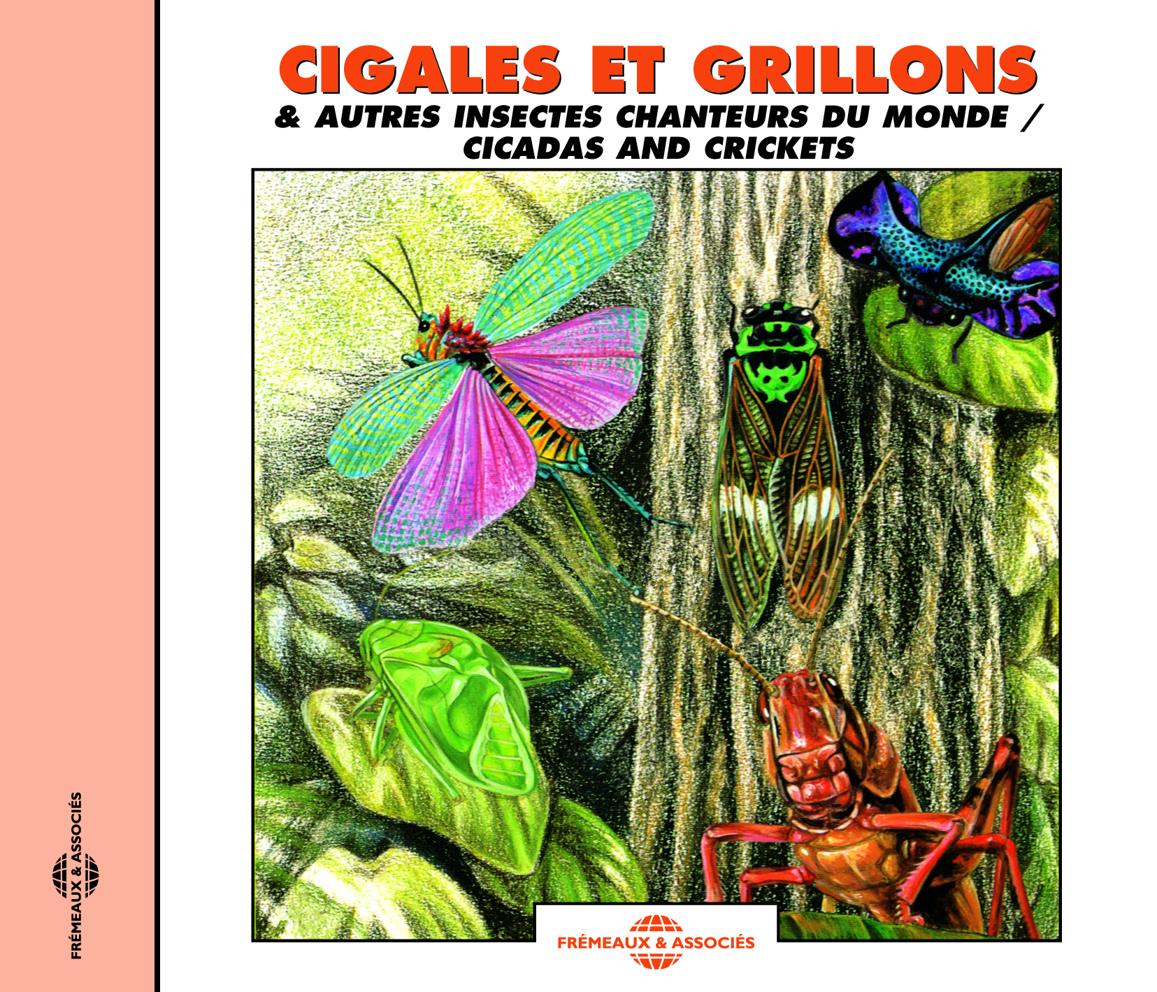CIGALES ET GRILLONS ET AUTRES INSECTES CHANTEURS DU MONDE