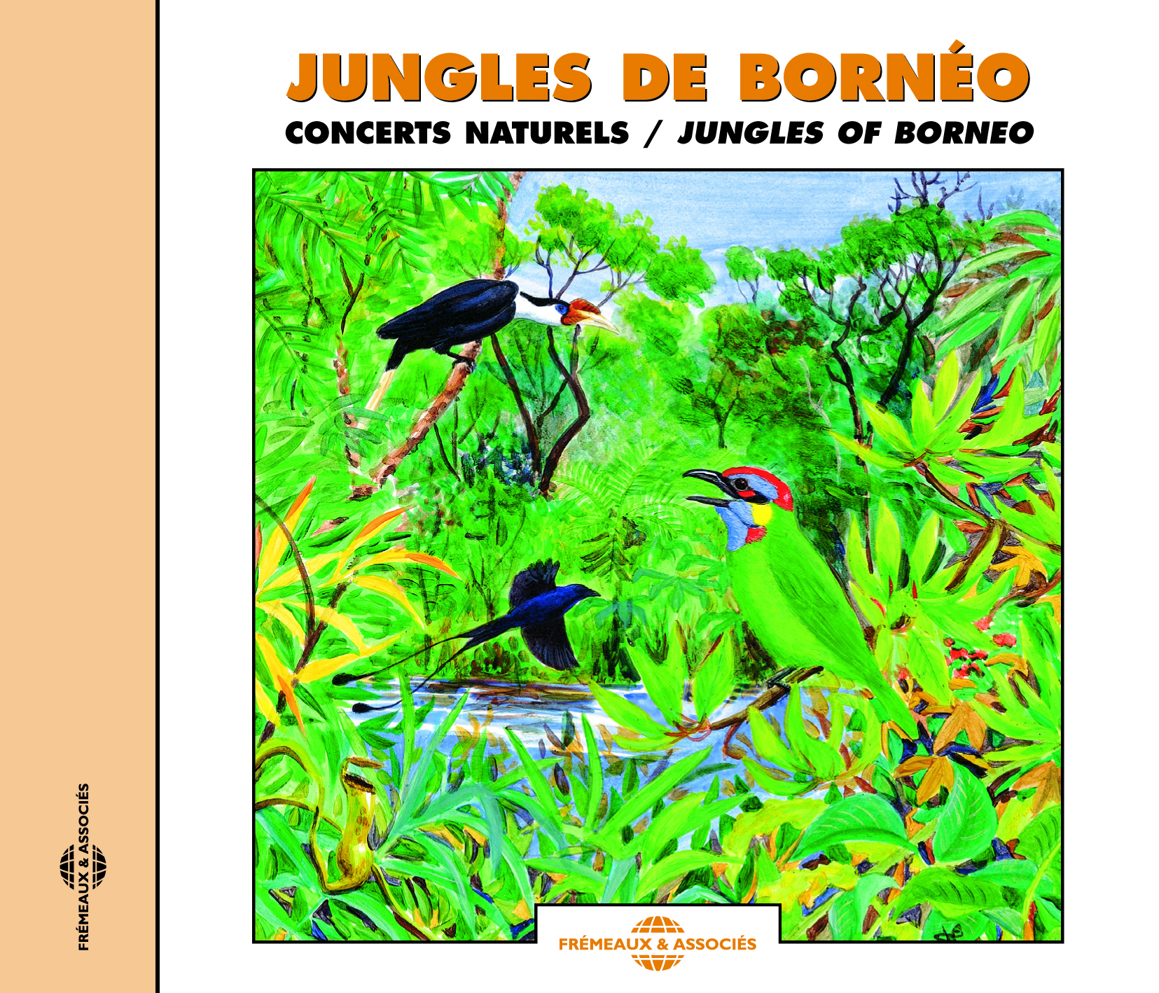 JUNGLES DE BORNEO CONCERTS NATURELS