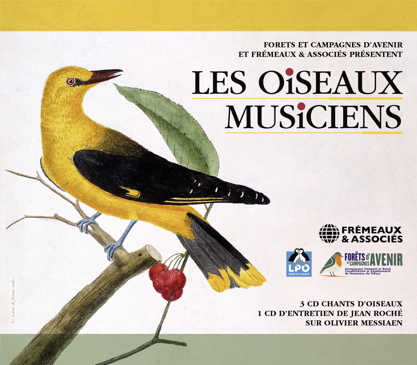 LES OISEAUX MUSICIENS
