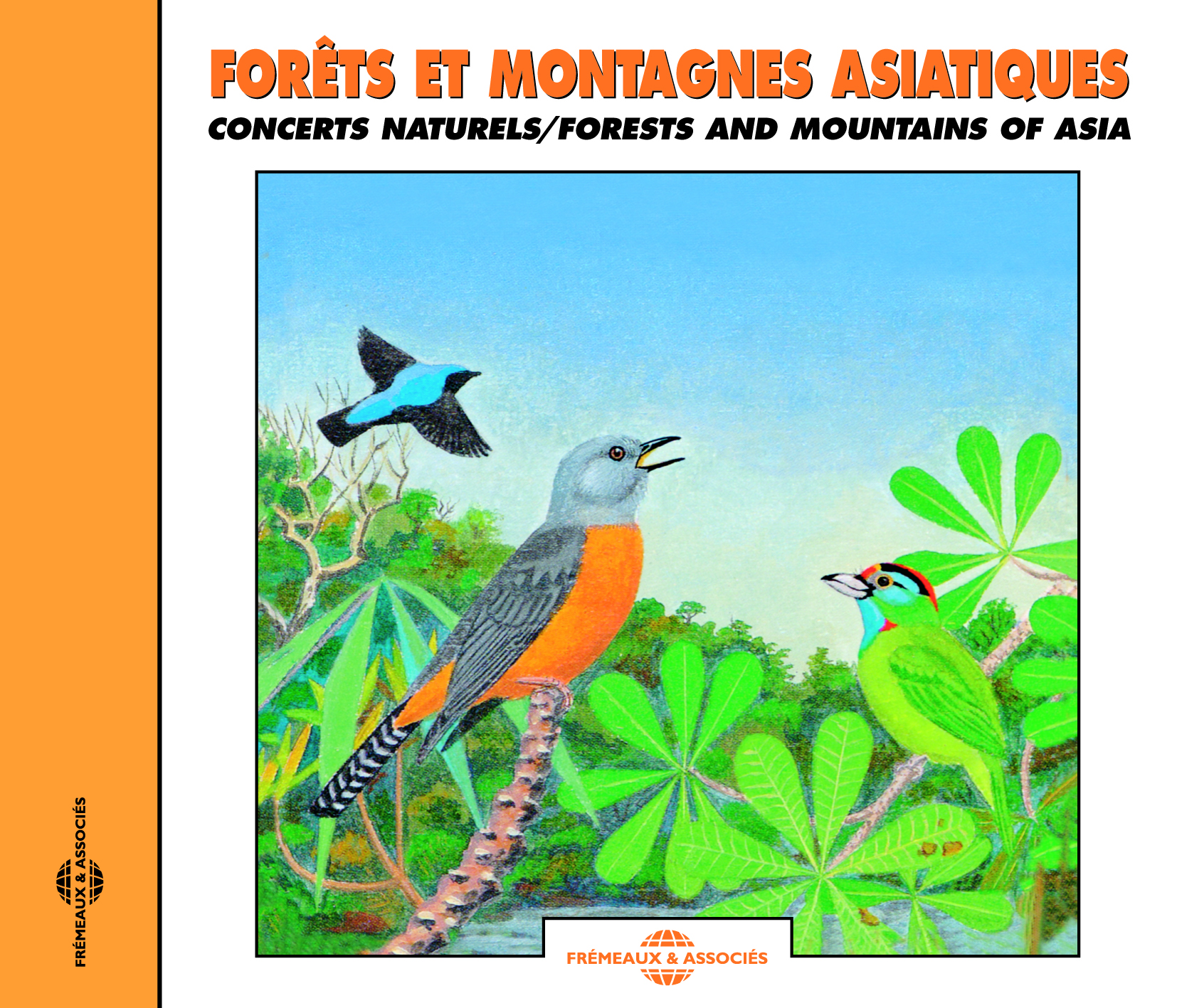 FORETS ET MONTAGNES ASIATIQUES CONCERTS NATURELS