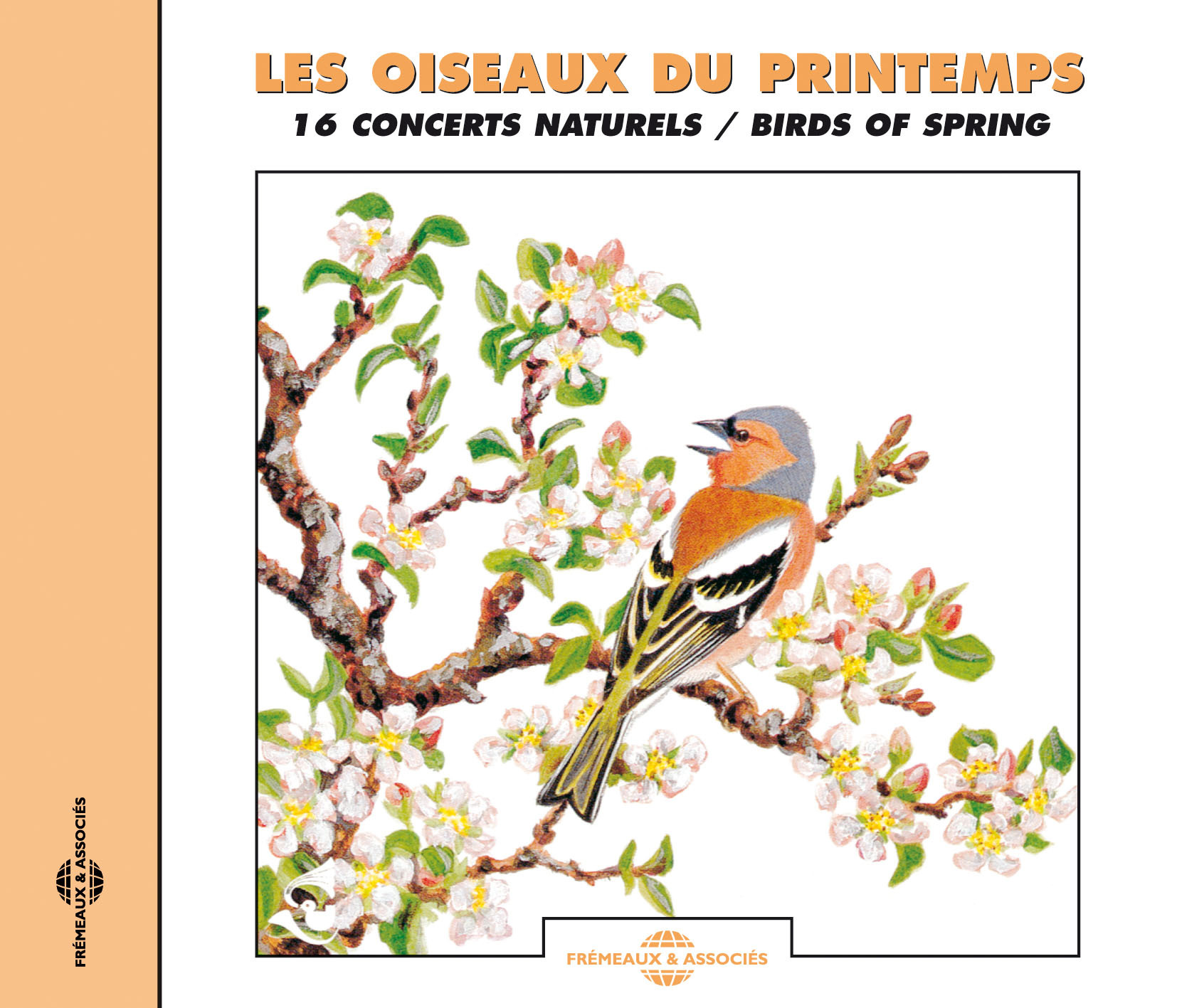 OISEAUX DU PRINTEMPS